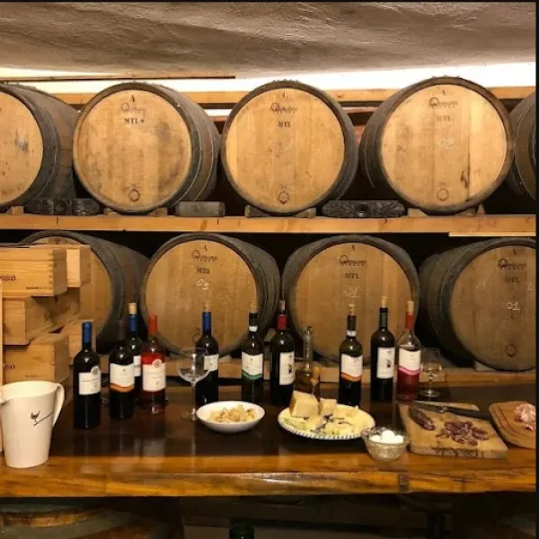 History and Tasting in the Winery