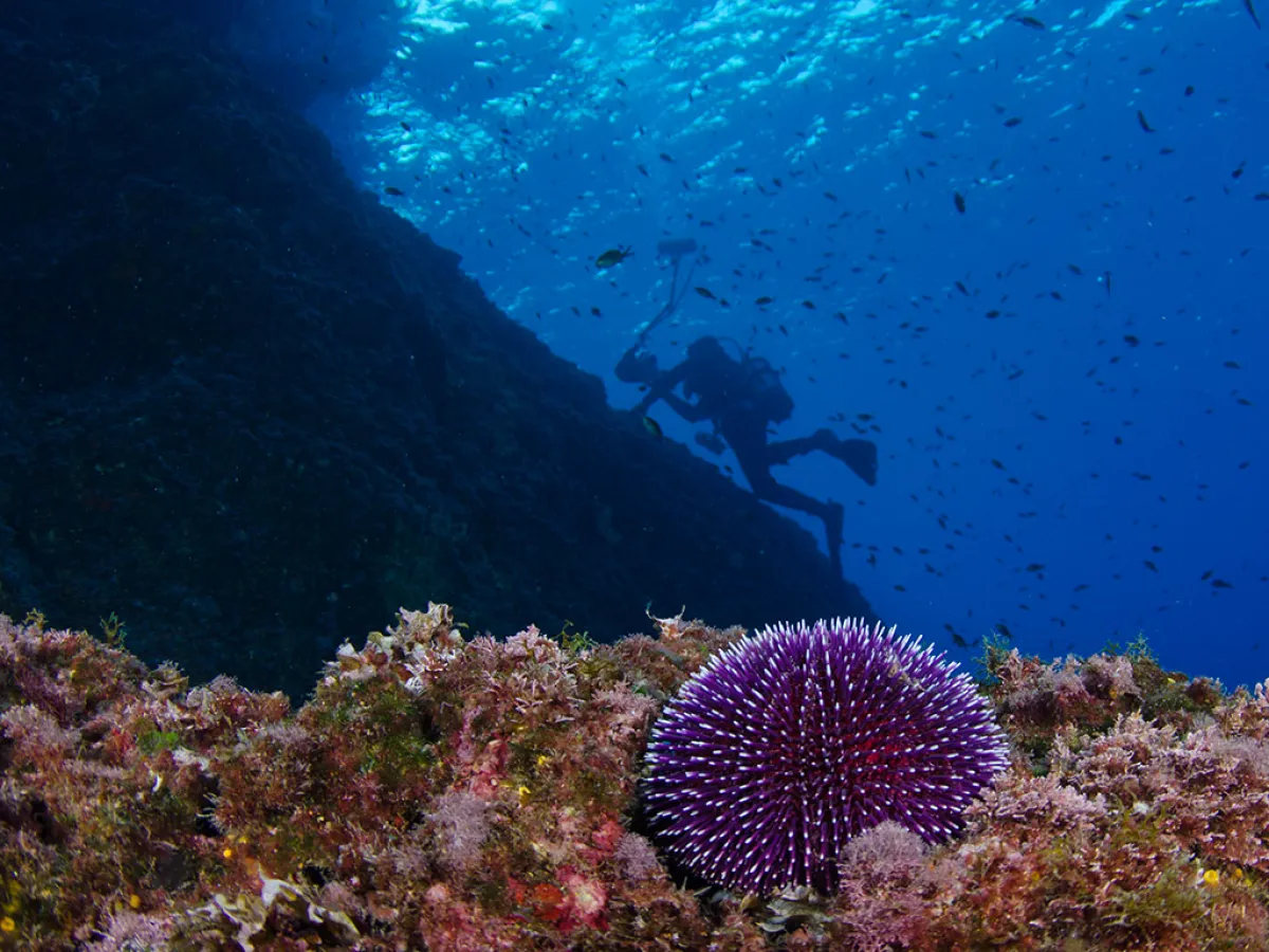 Tour image
